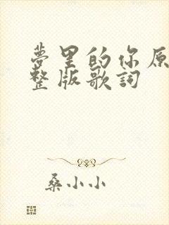 梦里的你原唱完整版歌词