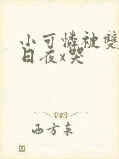 小可怜被双胞胎日夜x哭