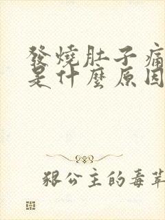 发烧肚子痛呕吐是什么原因封面