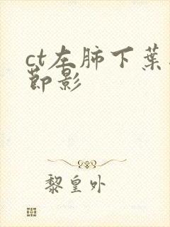 ct左肺下叶结节影