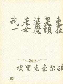 我老婆是东晋第一女魔头在线阅读