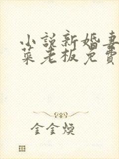 小说新婚妻子和菜老板免费阅读