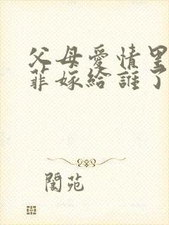 父母爱情里江亚菲嫁给谁了封面