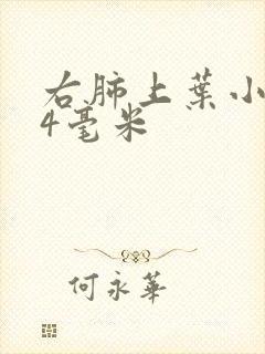 右肺上叶小结节4毫米