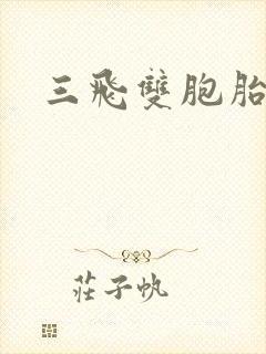 三飞双胞胎姐妹