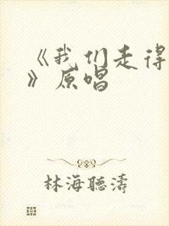 《我们走得太远》原唱封面