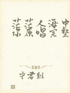 茫茫人海中遇见你原唱完整版