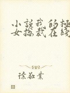 小说我的极品美女总裁在线观看封面