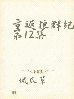 重返狼群纪录片第12集