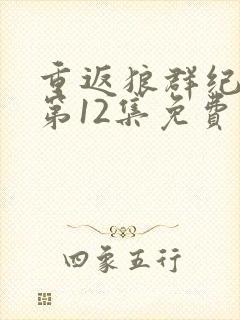 重返狼群纪念版第12集免费