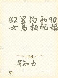 82男狗和90女马相配婚姻如何封面