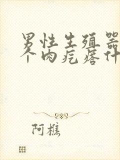 男性生殖器长出个肉疙瘩什么病封面