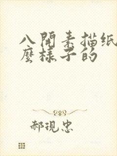 八开素描纸是什么样子的