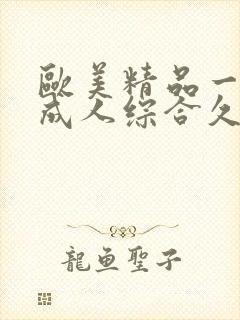 欧美精品一国产成人综合久久封面