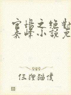 官场之绝对权力秦峰小说免费阅读封面