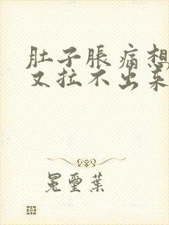 肚子胀痛想大便又拉不出来