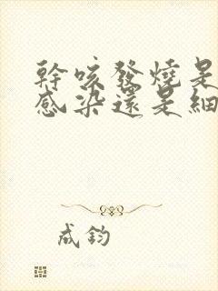 干咳发烧是病毒感染还是细菌感染