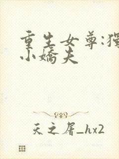 重生女尊:独宠小娇夫