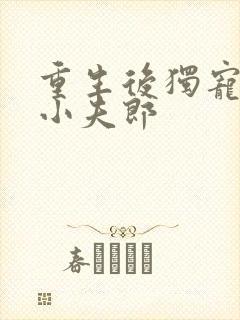 重生后独宠灾星小夫郎