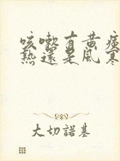 咳嗽有黄痰是风热还是风寒封面