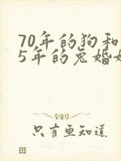 70年的狗和75年的兔婚姻相配吗