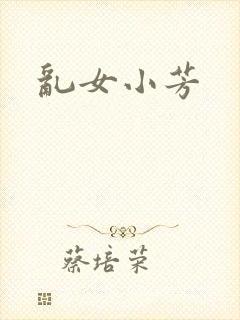 乱女小芳封面