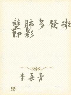 双肺多发微小结节影封面