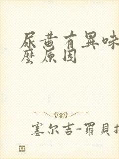 尿黄有异味是什么原因