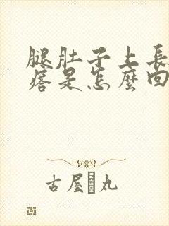 腿肚子上长个疙瘩是怎么回事封面