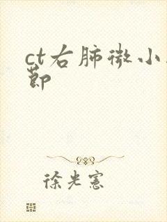 ct右肺微小结节