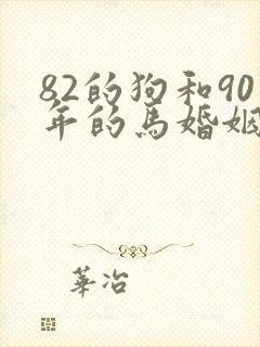 82的狗和90年的马婚姻相配吗
