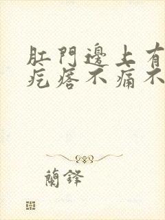 肛门边上有个硬疙瘩不痛不痒封面