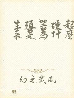 生殖器硬起不起来是为什么