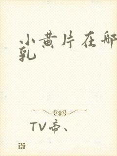 小黄片在哪看巨乳