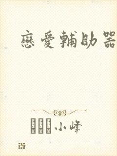 恋爱辅助器免费封面