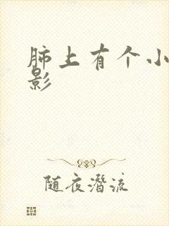 肺上有个小结节影