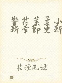 警花叶柔小说最新章节更新