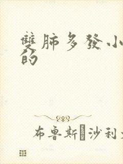 双肺多发小结节的