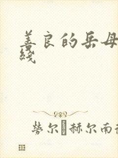 善良的岳母1在线