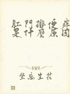 肛门排便疼出血是什么原因