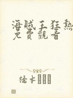 海贼王狂热行动免费观看封面