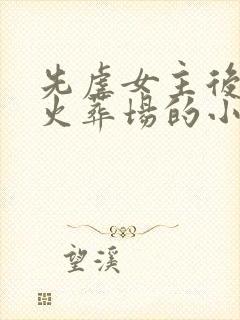 先虐女主后追妻火葬场的小说古言