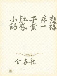 小肚子疼想拉屎的感觉一样怎么回事