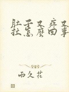 肚子又疼又吐又拉怎么回事