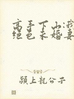 高手下山:我的绝色未婚妻免费txt下载