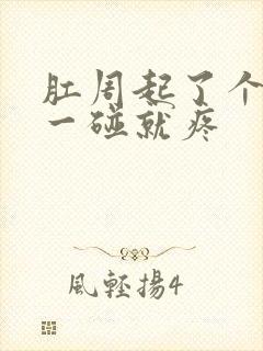 肛周起了个疙瘩一碰就疼