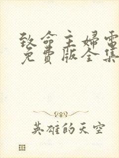 致命主妇电视剧免费版全集在线观看封面