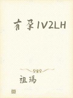 有孕1V2LH