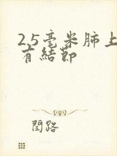 2.5毫米肺上有结节