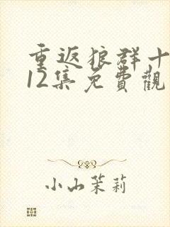 重返狼群十周年12集免费观看